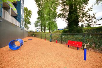 Dog park